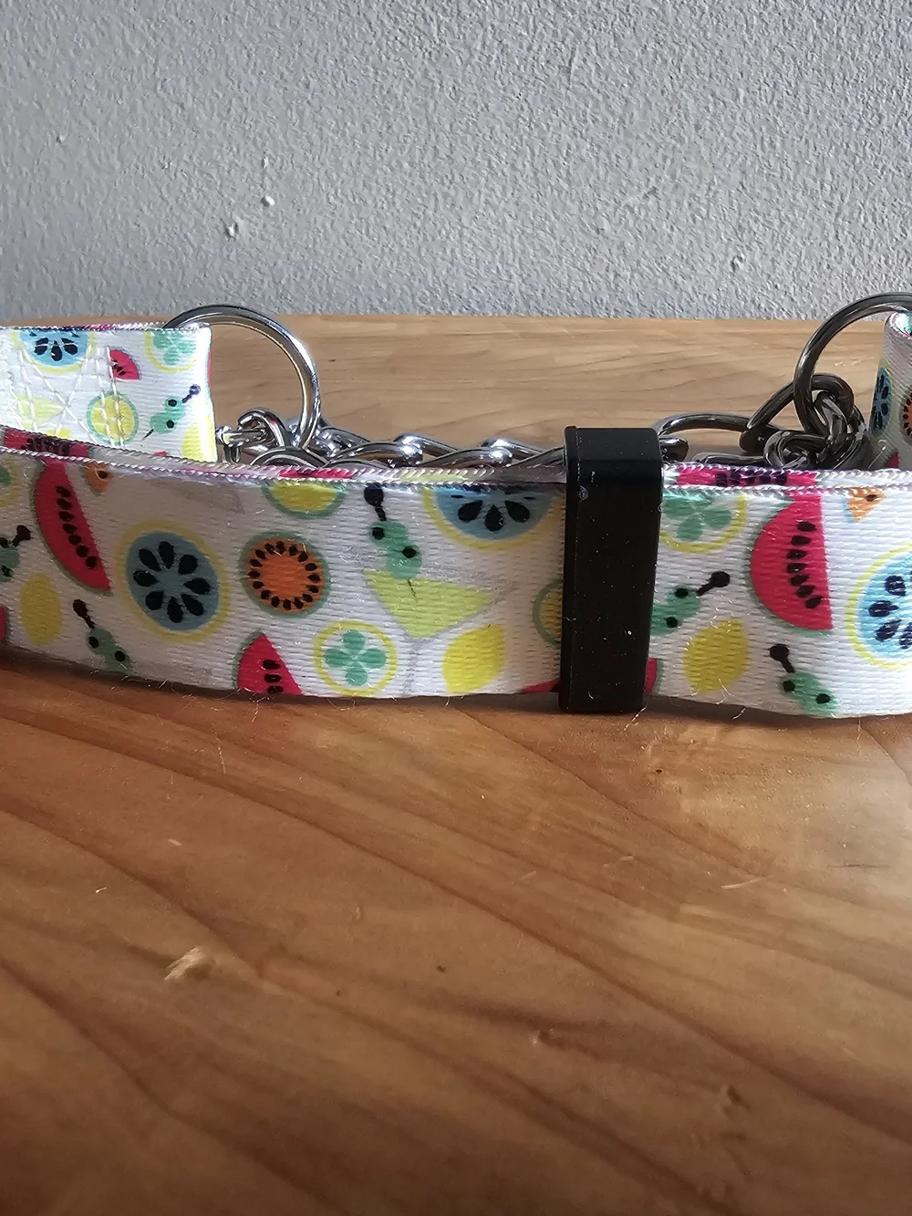 Colorful Fruit Print Martingale Dog Collar